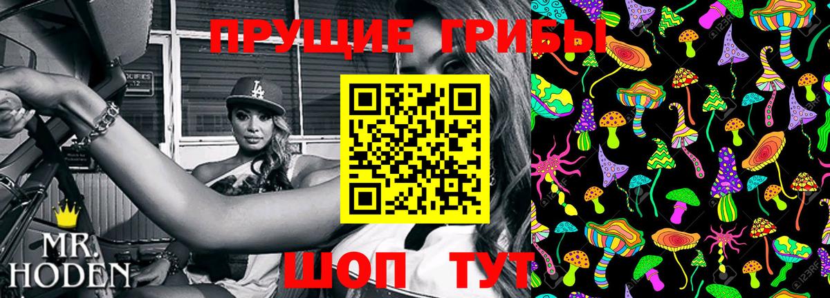 Татарск  Псилоцибиновые грибы Psilocybine cubensis  Вход с VPN  Галлюциногенные грибы мицелий 
