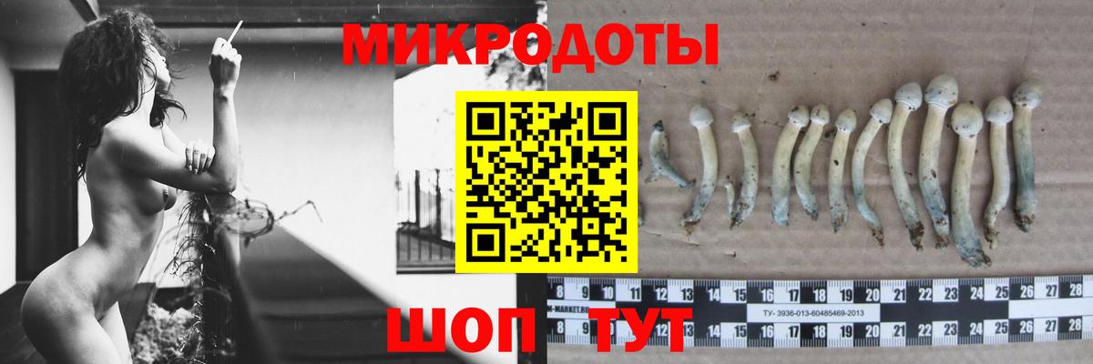 Галлюциногенные грибы ЛСД Татарск